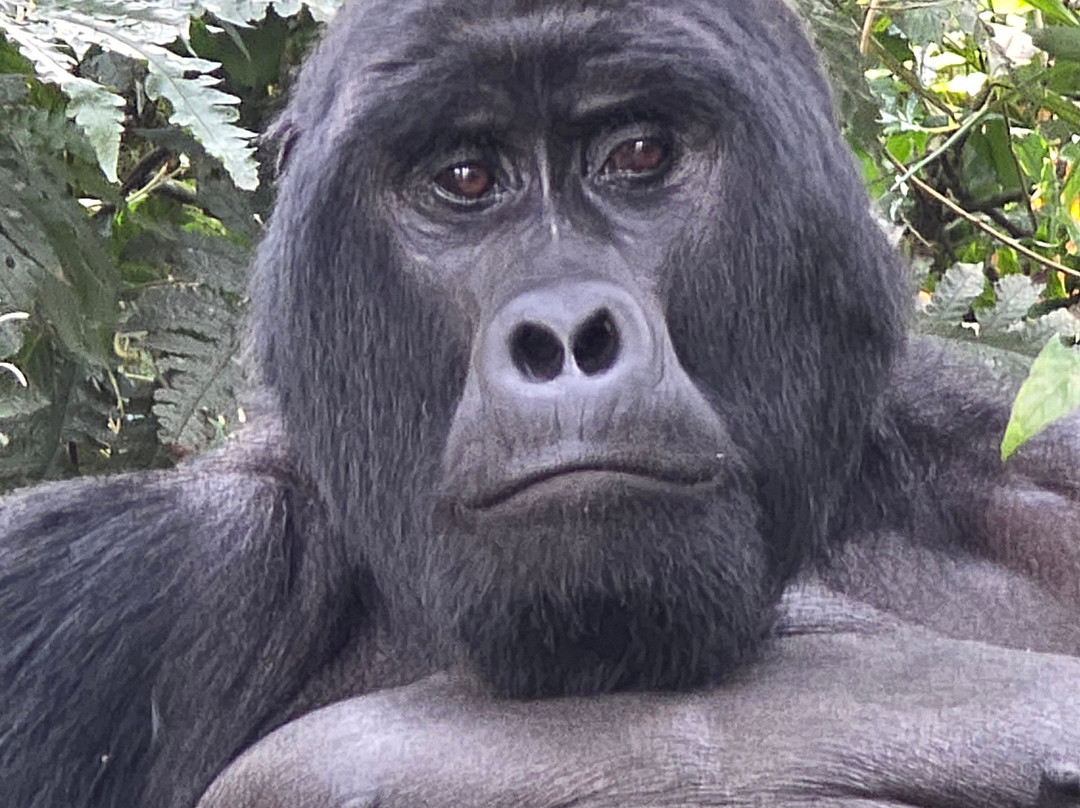 Focus East Africa Tours Ltd-坎帕拉必去景点