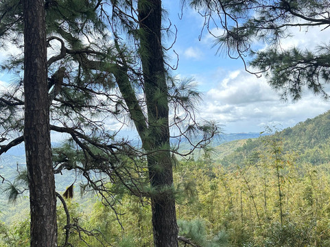 Masungi Georeserve-Rizal Province必去景点