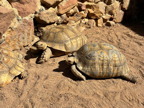 Hurghada Grand Aquarium-赫尔格达必去景点