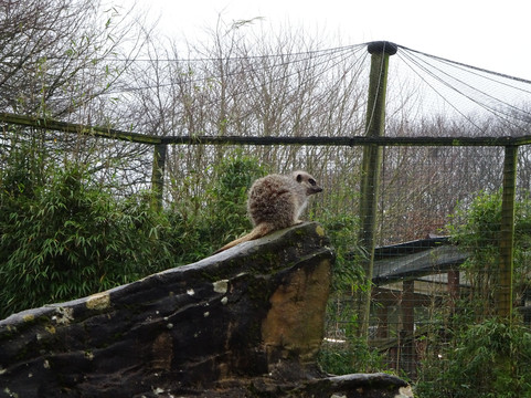 Exmoor Zoo-巴恩斯特珀尔必去景点