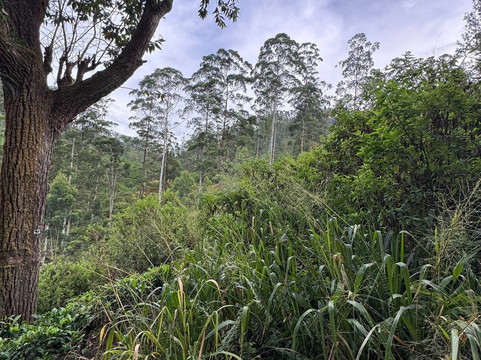 总督府酒店主图