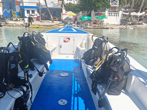 Tropical Sea Divers-博卡奇卡必去景点