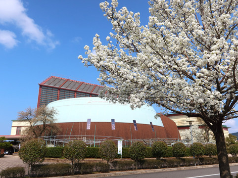 Pear Museum-仓吉市必去景点