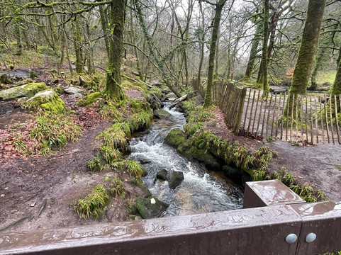 Golitha Falls-利斯卡德必去景点