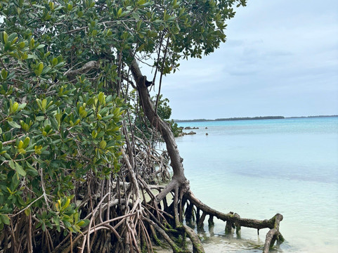 Blue Hole Park-百慕大必去景点