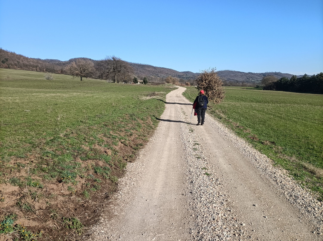Via Francigena Tappa 37 Acquapendente - Bolsena-Acquapendente必去景点