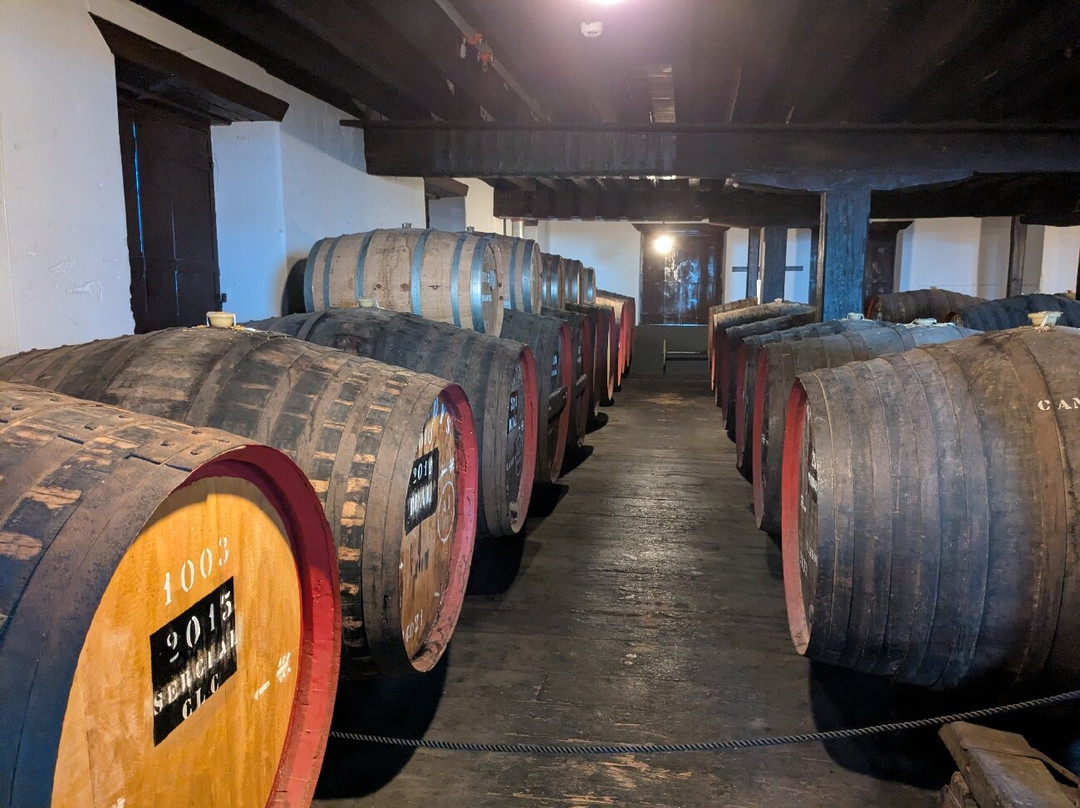 Blandy's Wine Lodge-沙尔必去景点