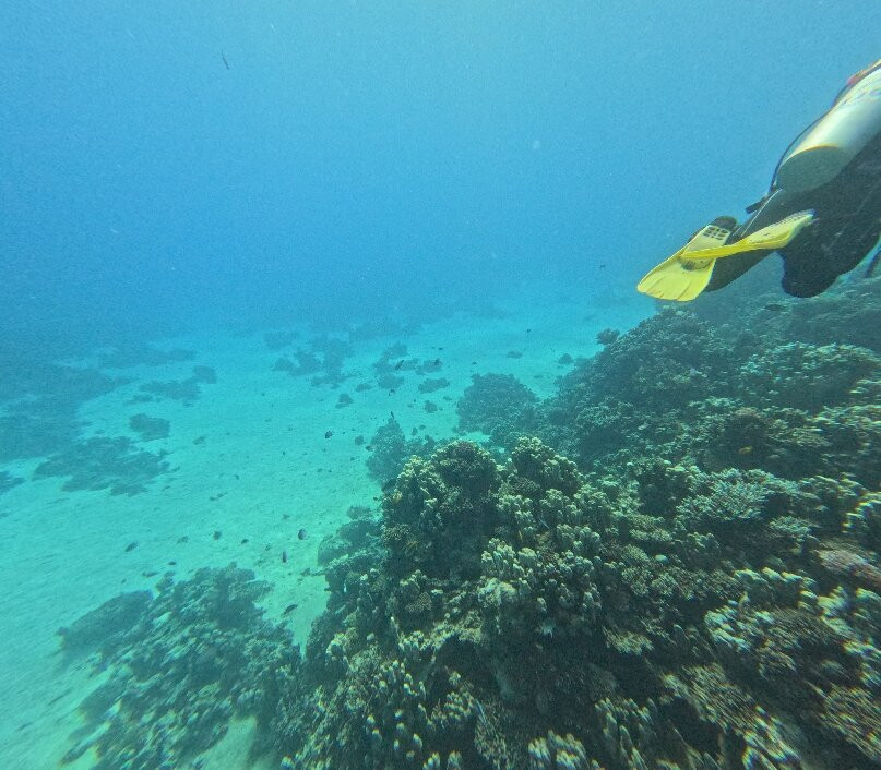 Aquarius Diving Club-马卡迪湾必去景点