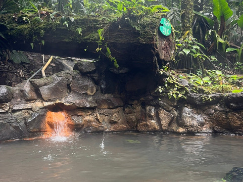 Termales del Bosque Hot Springs-San Rafaeillo必去景点