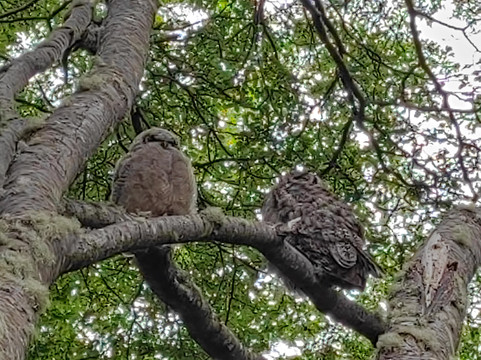 Fuerte Bulnes-蓬塔阿雷纳斯必去景点