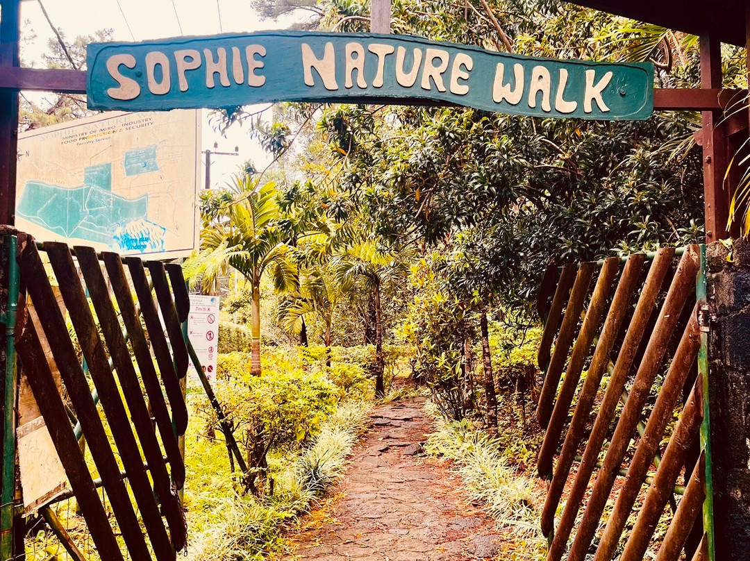 Sophie Nature Walk-Vacoas必去景点