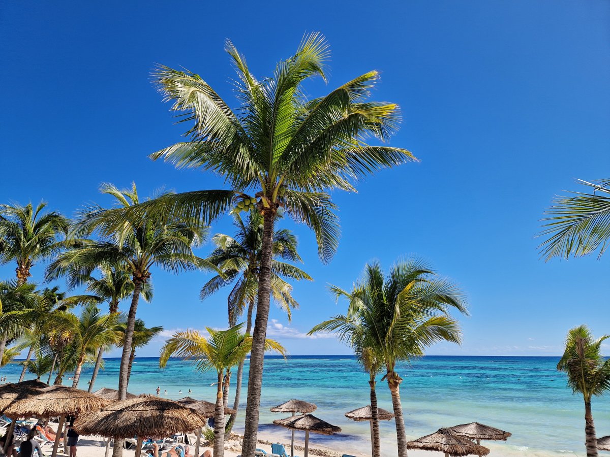 阿库玛尔湾海滩及养生度假村 - 全包式-泳池