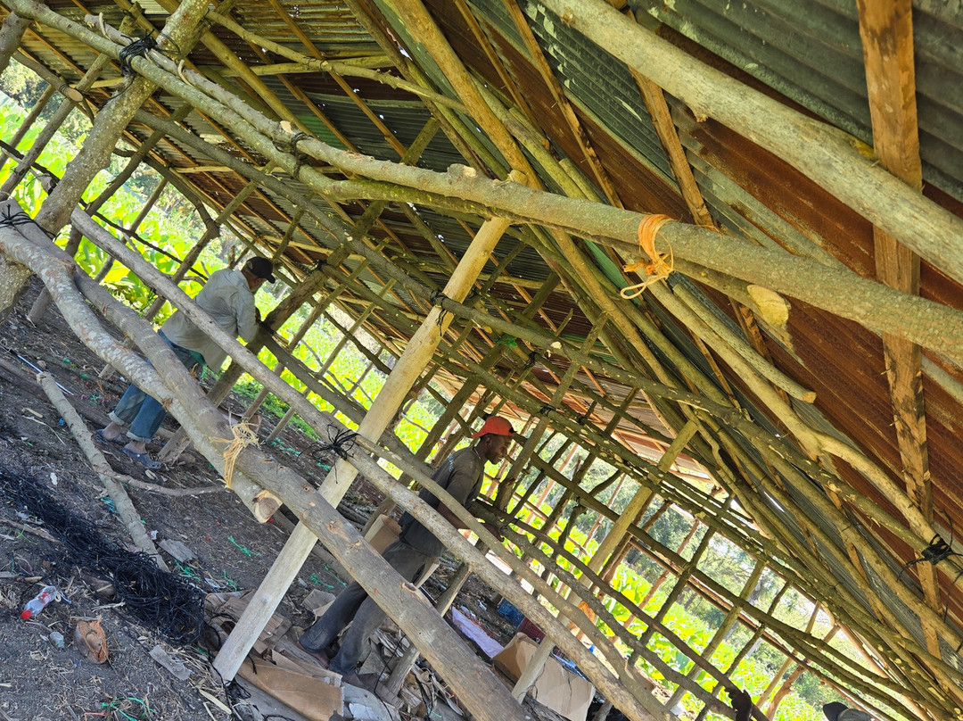 Zemis Tobacco and Cigars Factory-圣地亚哥必去景点