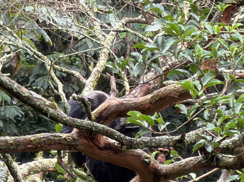 Devine African Safaris-吉佳利必去景点