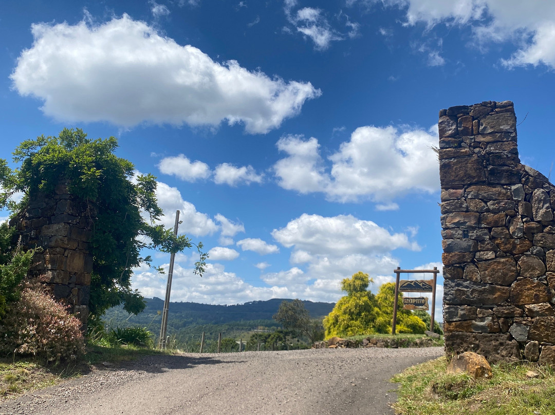 Vinhedos do Monte Agudo-Sao Joaquim必去景点