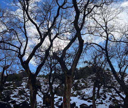 Fouad Achahbar-Azrou必去景点