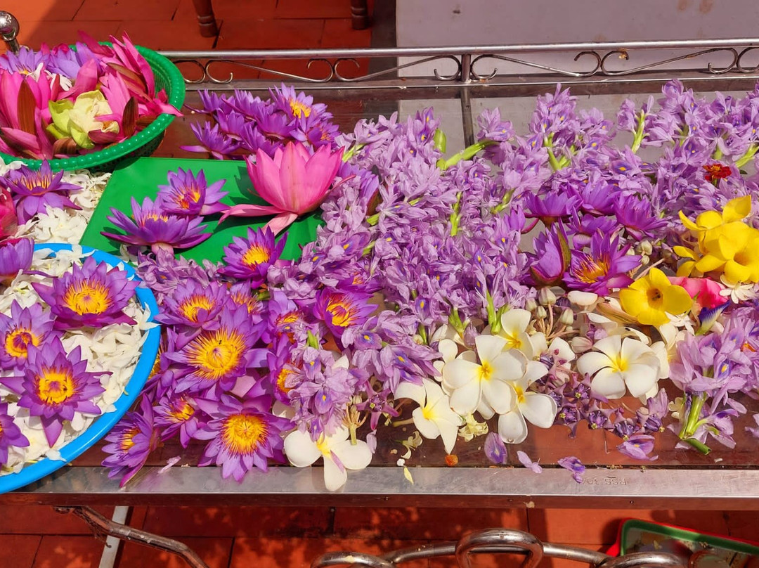 Tours Lanka with Manoj-尼甘布必去景点