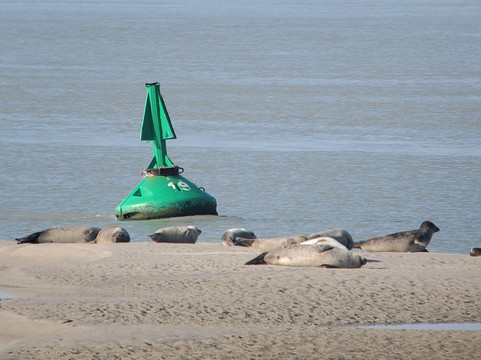 Passion Baie de Somme-Le Crotoy必去景点