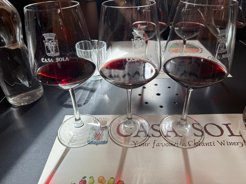 Casa Sola Chianti Winery-巴尔贝里诺瓦尔德尔萨必去景点