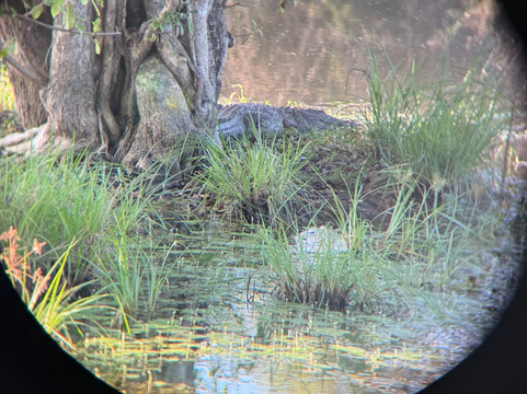 Udawalawe Lahiru Safari Guide Tours-乌达瓦拉维国家公园必去景点