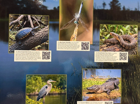 Oakland Nature Preserve-Oakland必去景点