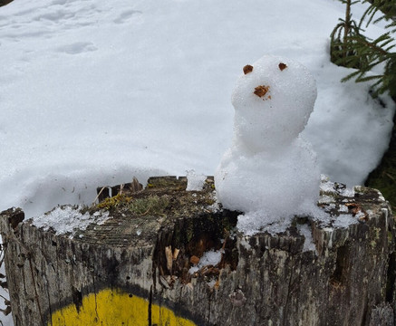 Nendaz 4 Vallees-Nendaz必去景点