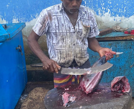 Sri Lanka Magical Tours-奴娃拉伊利雅必去景点