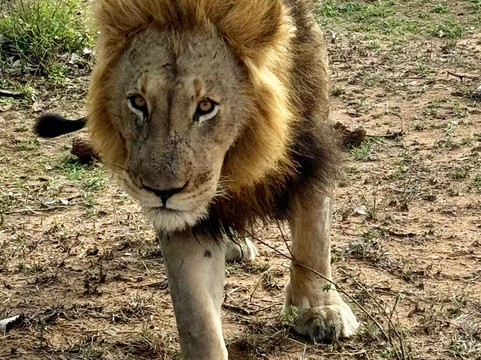 African Journey Safaris-霍德斯普鲁特必去景点