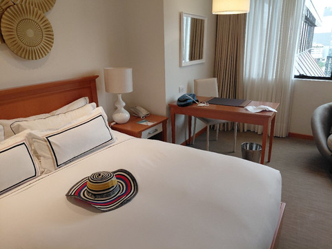 利马美利亚酒店主图