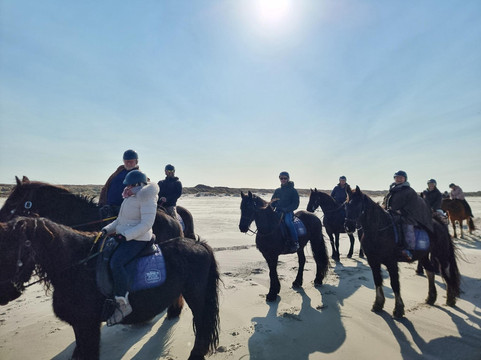 Puur Terschelling-Terschelling必去景点