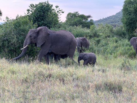 Passionate Safaris-Dar es Salaam必去景点