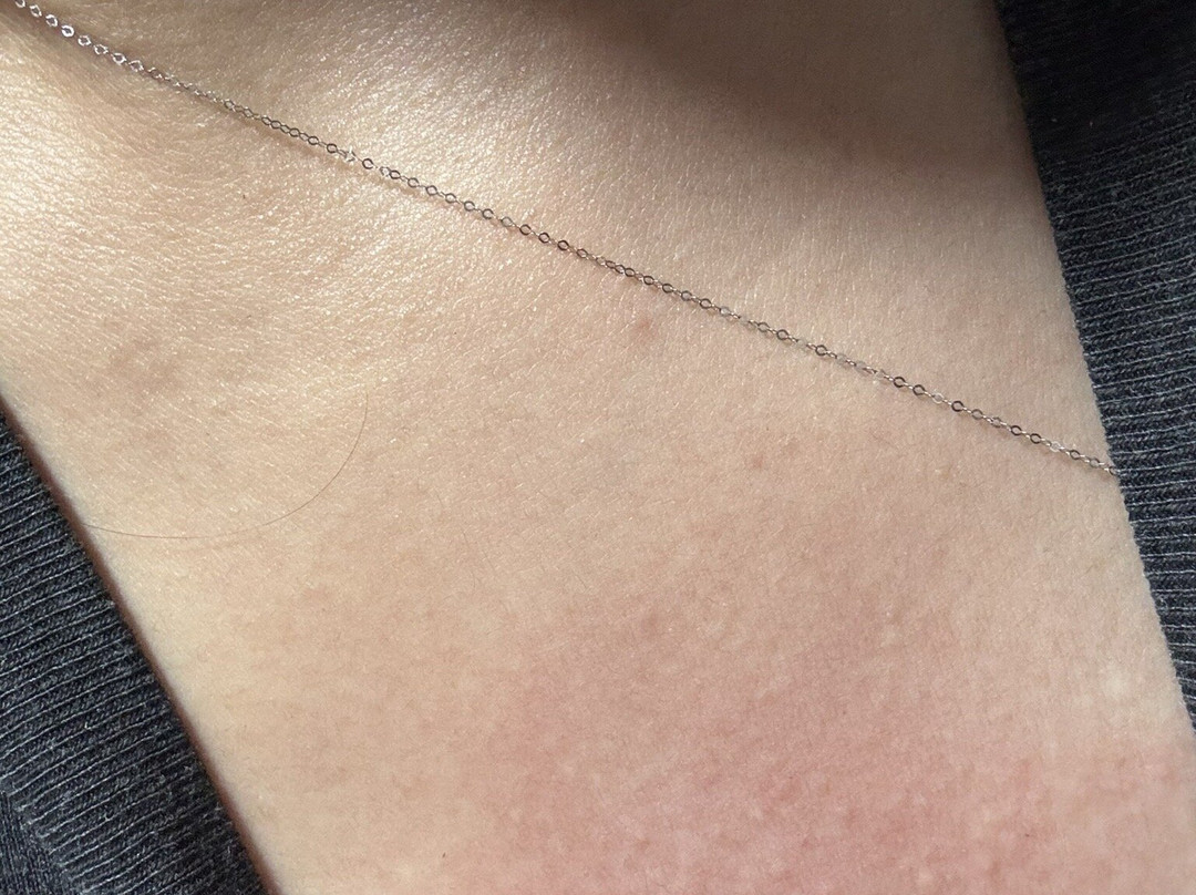 Sanskriti's Imperial Gems-阿格拉必去景点