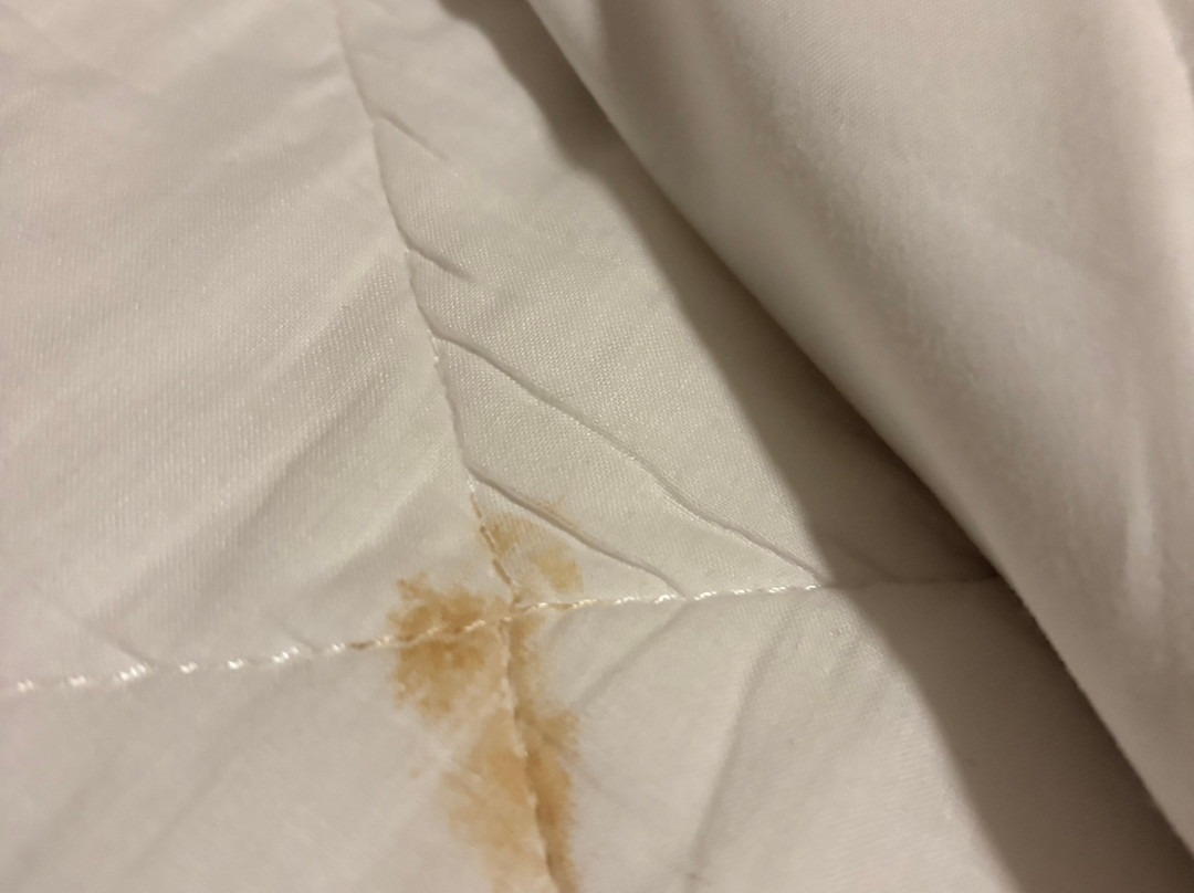 麦克唐纳德伯利兹特德水疗酒店主图