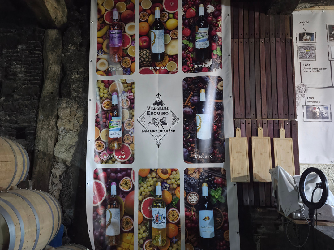 Domaine de La Higuere , Vignobles Esquiro-Mirepoix必去景点