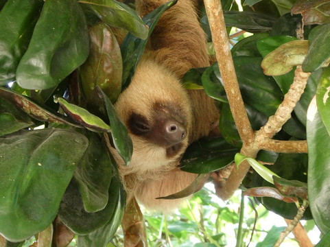 Playa Bluff-Bluff Beach必去景点