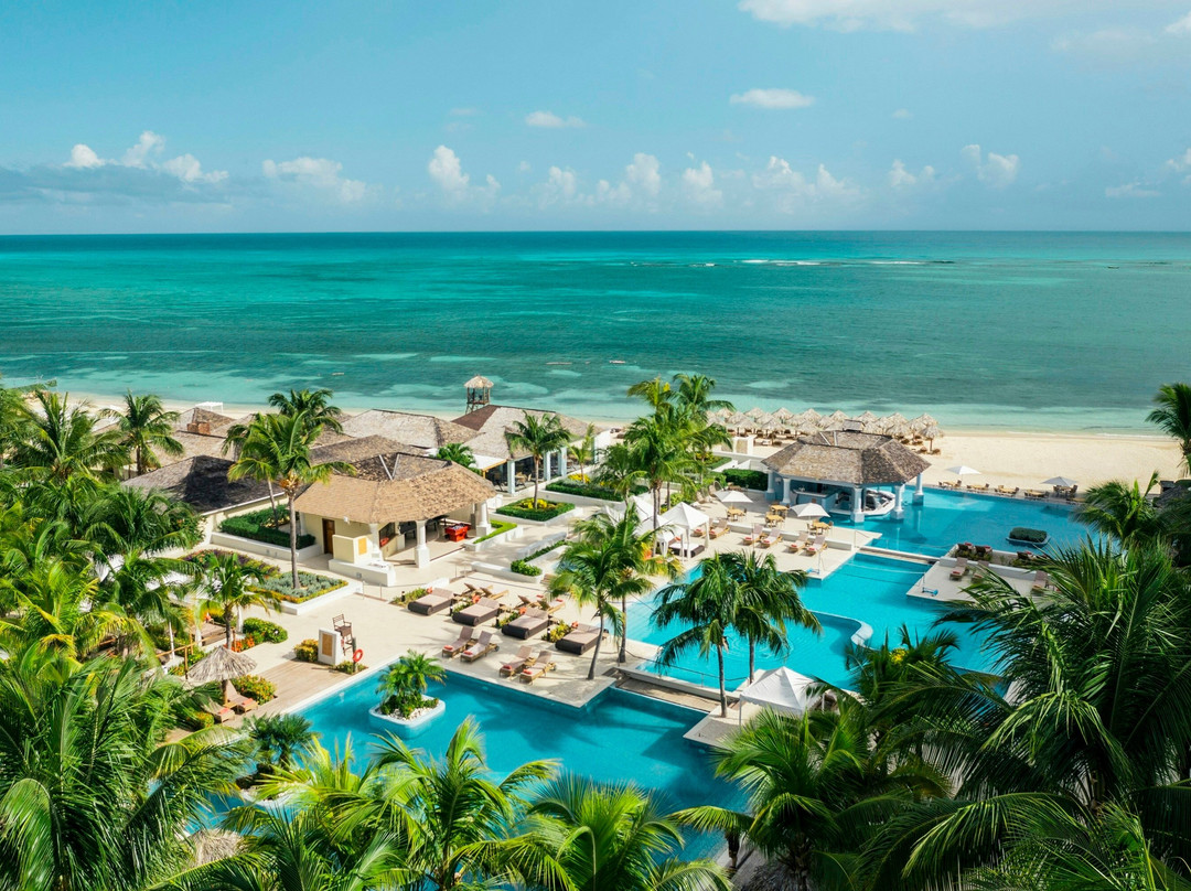 伊比利亚之星乔亚玫瑰堂主图