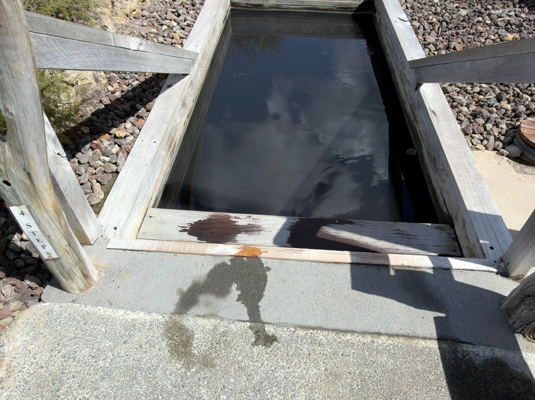 Ngawha Springs-凯科希必去景点