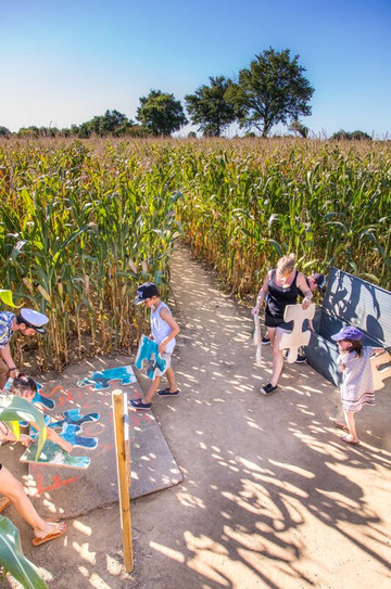 Labyrinthe en Vendee Vallee-Vendrennes必去景点