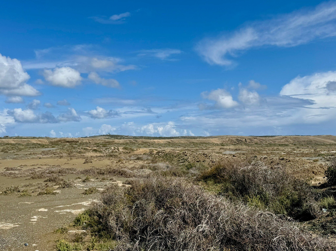 Akrotiri Salt Lake-Akrotiri必去景点