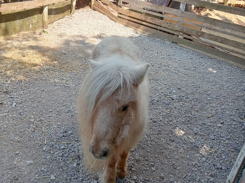 Città Della Domenica-佩鲁贾必去景点