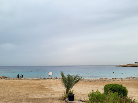 ORCA Dive Club Coral Garden-Safaga必去景点