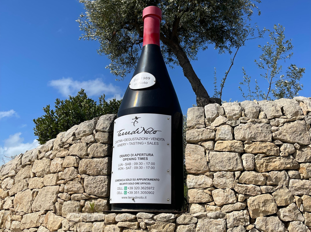 Terre di Noto - Vigneti e Cantine-诺托必去景点