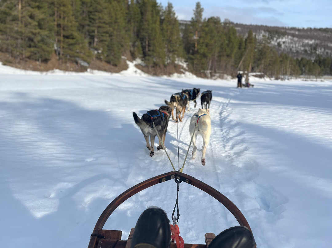 Norway AdvenTURes-盖伦格峡湾必去景点