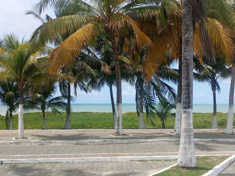 珊瑚礁别墅旅馆主图