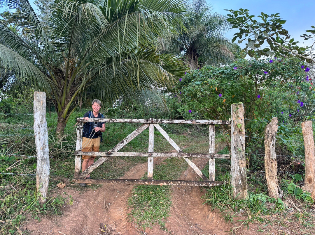 Tierra Madre Eco Lodge主图