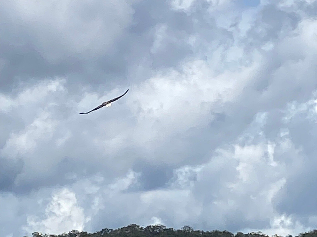 霍克斯贝里河河船邮差-Brooklyn必去景点