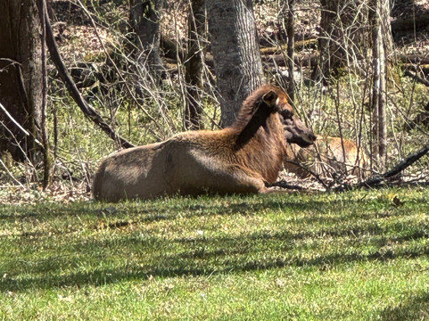 Oconaluftee Visitor Center-大雾山国家公园必去景点