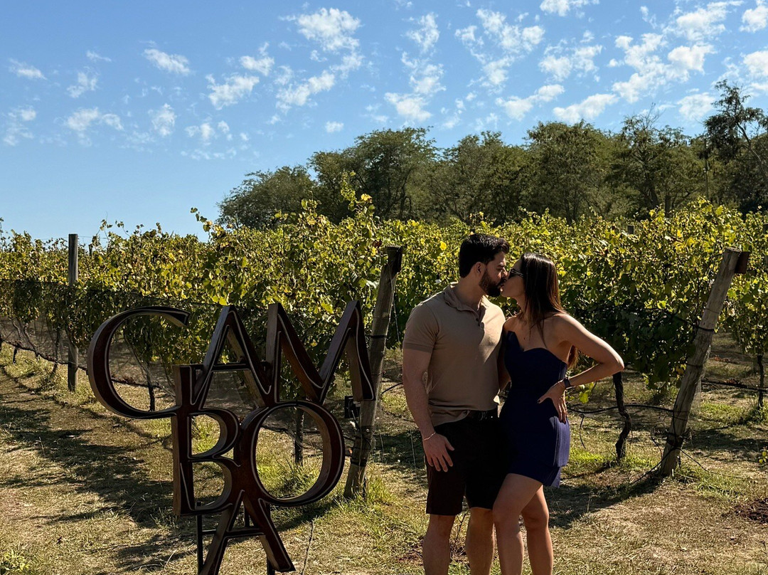 Gamboa - Viñas & Bodega-Campana必去景点