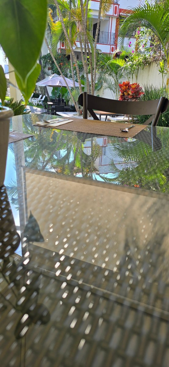 库埃纳瓦卡弗朗西斯科民宿-官方