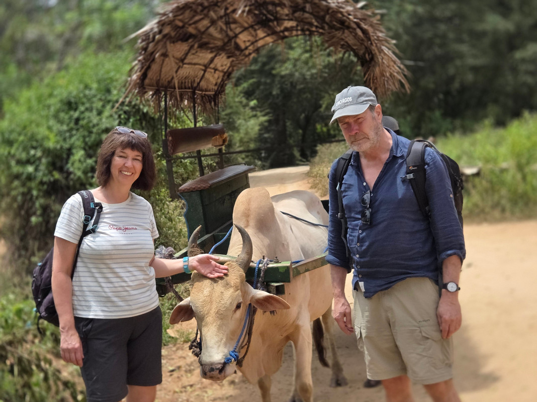 Sanjaya Tours Sri Lanka-锡吉里亚必去景点